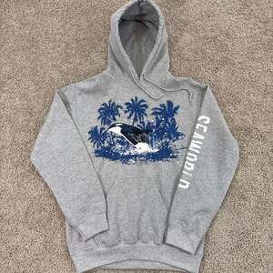 SeaWorld Gray Pullover Hoodie Orca Killer Whale Palm Trees Small EUC